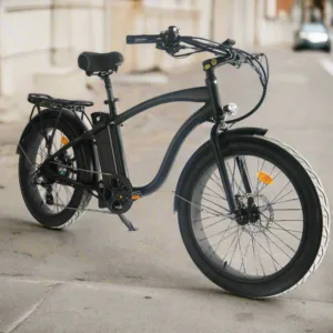 Coastal Cruiser 52v 24 Over 750W Step Over Ebike 24x3 Fat Tire Fat Tire Cruiser