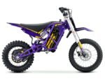 EBOX V3 60R Purple/Gold
